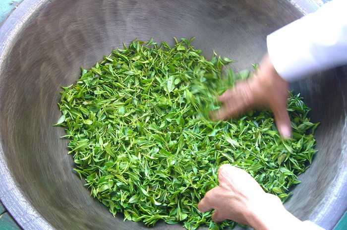 茶叶的制作过程（高品质茶叶制作八步法及细节）