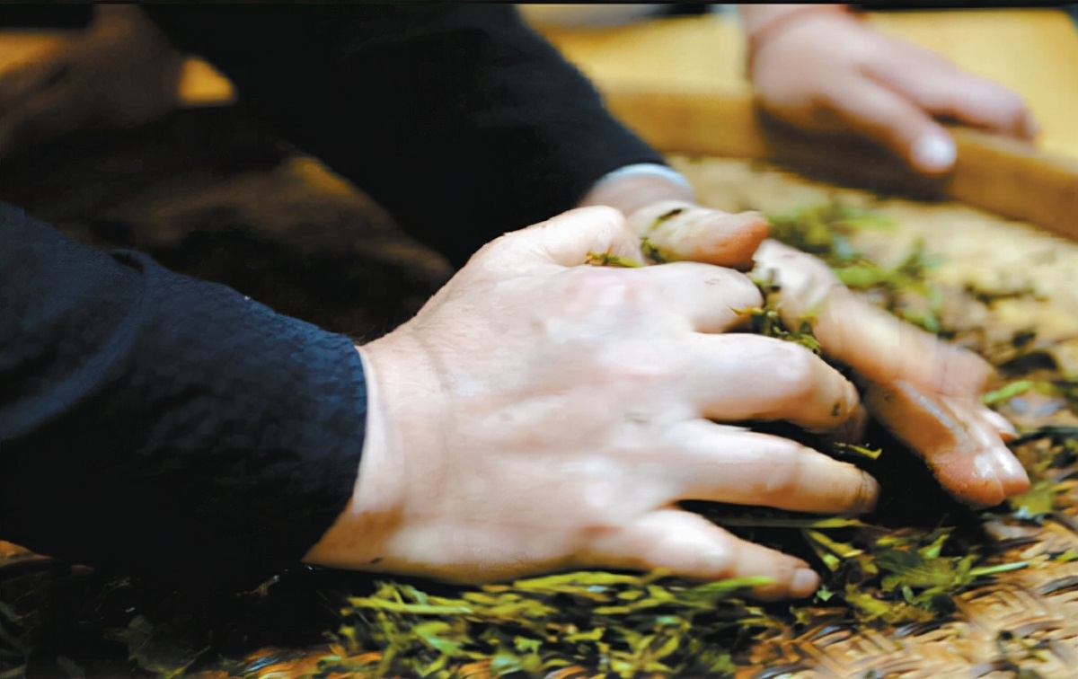 茶叶的制作过程（高品质茶叶制作八步法及细节）