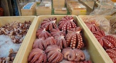 ​吃海鲜容易得痛风吗(常吃海鲜会引起痛风吗?)