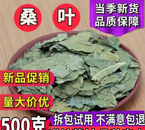 桑叶用什么样的方法晒干的效果好呢