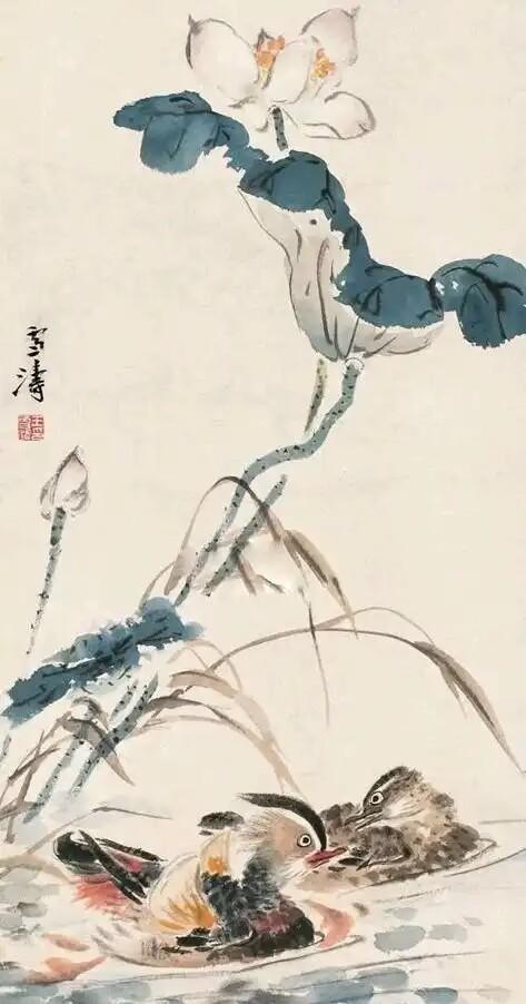鸳鸯哪个是雌哪个是雄(鸳鸯的寓意和象征)