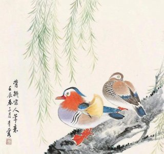 ​鸳鸯哪个是雌哪个是雄(鸳鸯的寓意和象征)