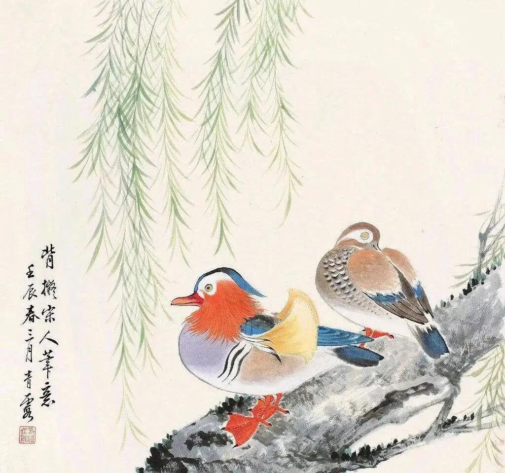 鸳鸯哪个是雌哪个是雄(鸳鸯的寓意和象征)