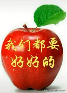 ​rld酒价格(rlo酒价格)