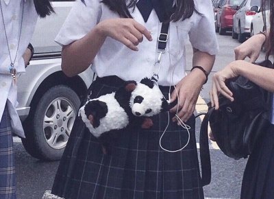 ​怎么快速变硬 快速变硬的方法