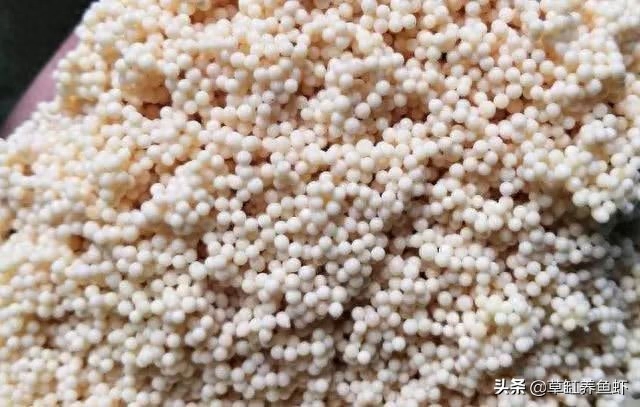 蛋白棉可以长期放在过滤吗(蛋白棉用多久拿出来)