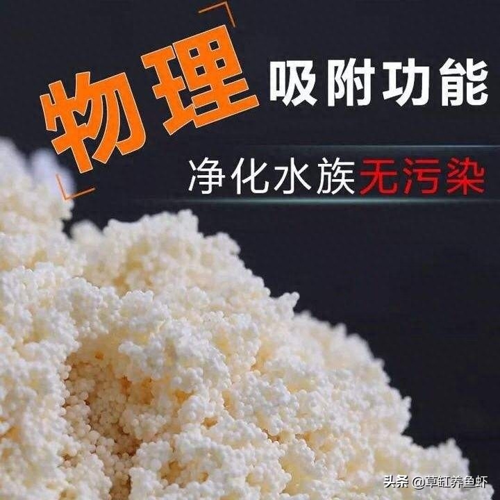 蛋白棉可以长期放在过滤吗(蛋白棉用多久拿出来)