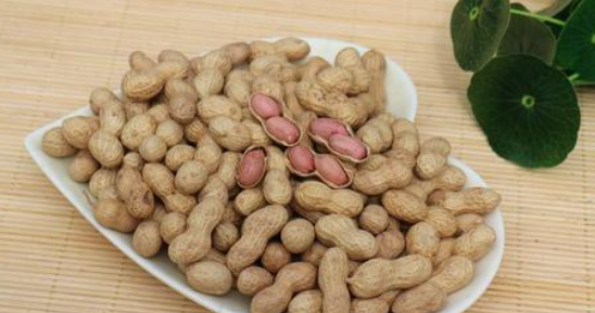 煮熟的花生放冰箱能保存多久,带壳炒熟的花生能放多久图1