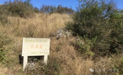 ​孔鲤：土木堡与夺门，一场悄无声息的分赃