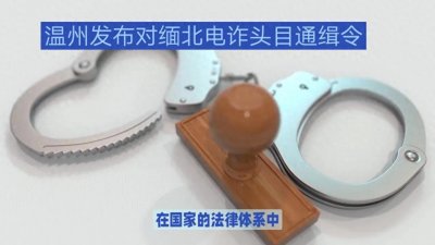 ​我国公安机关的通缉令：权力的实施与责任的担当