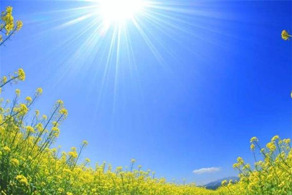 中伏为什么有十天有二十天 中伏为什么有两个 中伏为什么有十天有二十天 中伏为什么有两个