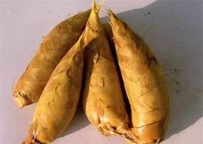 ​冬笋保存一年的方法 冬笋怎样长期保存