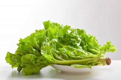​生菜种子怎么种