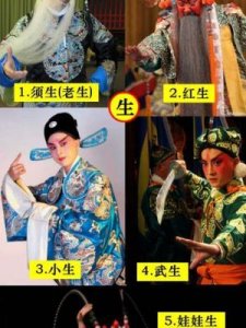 ​京剧角色五大类(京剧角色五大类代表人物)