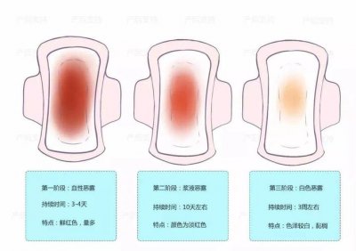 ​恶露是什么意思（恶露简单介绍）