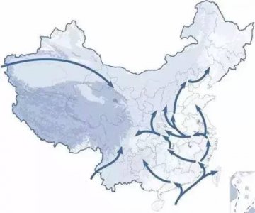 ​玉米是什么时候传入中国的（玉米是什么朝代引入中国的）