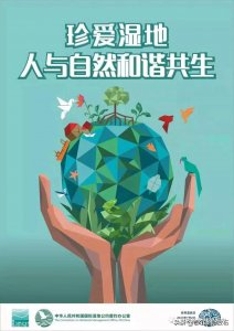 ​世界湿地日 | 珍爱湿地 人与自然和谐共生