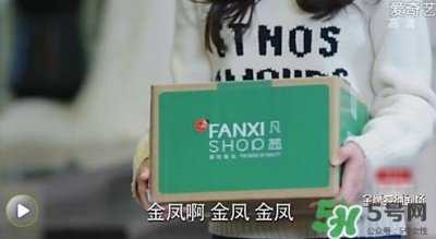 ​凡茜是什么牌子？凡茜是哪个国家的品牌什么档次？