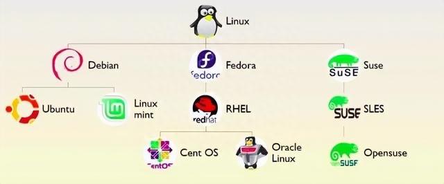 生活为什么国产操作系统，都基于linux修改，不全面自研？  2