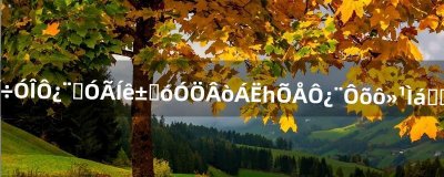 ​梦幻西游月卡使用完毕后又买了一张月卡怎么还提示欠点状态