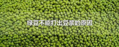 ​绿豆不能打出豆浆的原因有哪些 绿豆不能打出豆浆的原因分析