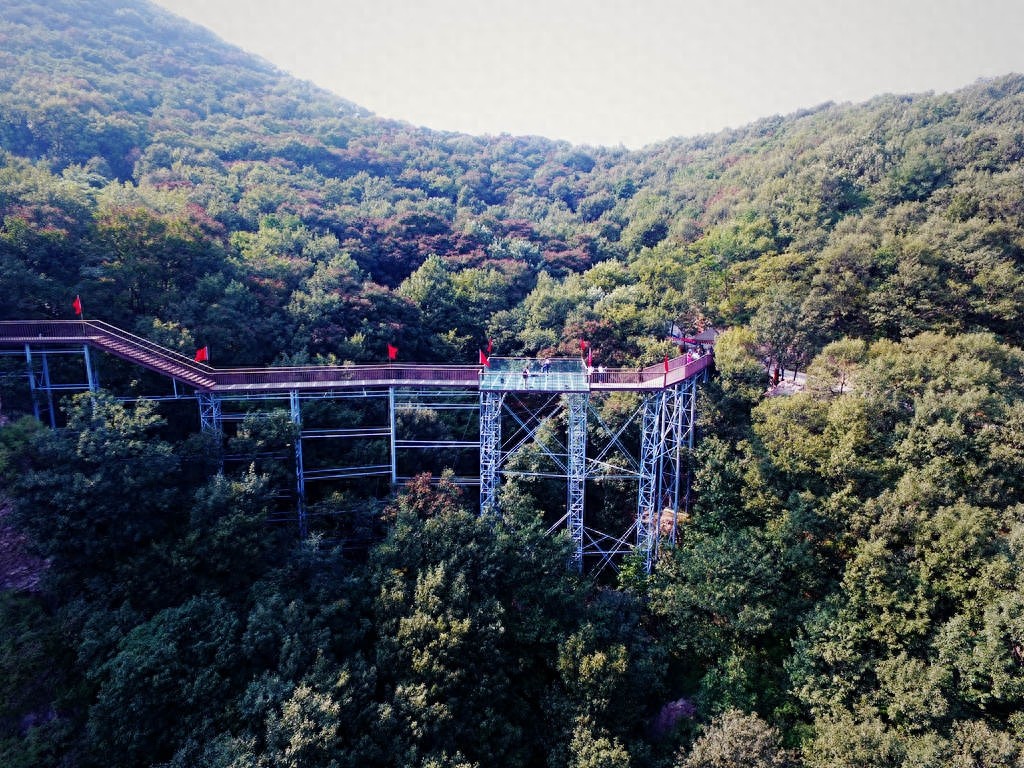 登封山水画廊摘星楼景区游记之二,树顶漫步一个超级炫酷炫的创意