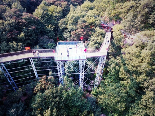 登封山水画廊摘星楼景区游记之二,树顶漫步一个超级炫酷炫的创意