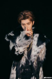 ​蔡徐坤为何被这么多人讨厌，甚至全网黑，是网络暴力，还是什么？