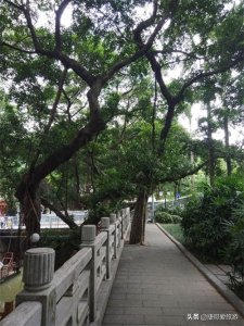 ​福建省 福州市 西湖公园