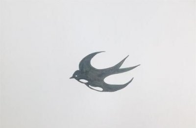 ​燕子尾巴像什么样子，燕子的尾巴为什么都像剪刀一样？