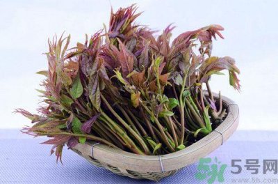 ​香椿炒鸡蛋的做法大全,香椿炒鸡蛋的营养价值有哪些?