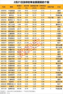 ​揭秘涨停 | 外资游资共同出手，芯片热门股“20cm”涨停