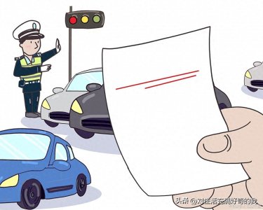 ​车辆违章查询直接输入车牌号么？