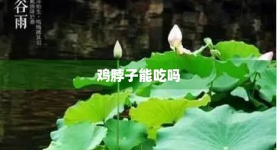 ​鸡脖子能吃吗(鸡头鸡脖子能吃吗)
