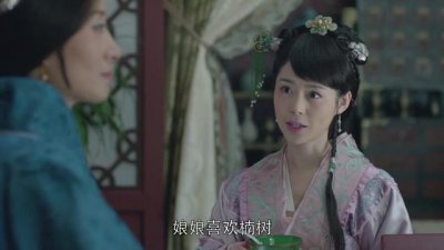 ​琅琊榜里林燮是什么身份（琅琊榜静妃对林燮）