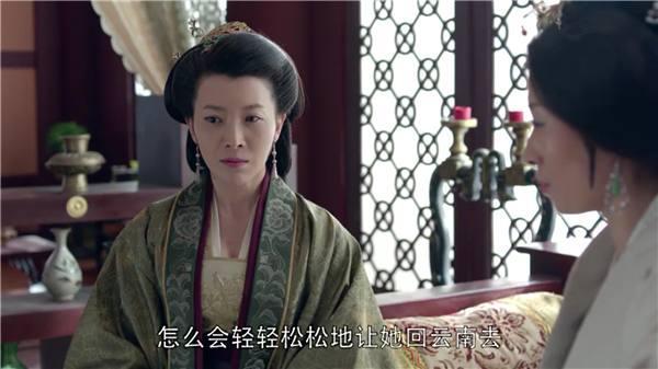 琅琊榜里林燮是什么身份(琅琊榜静妃对林燮)(3)