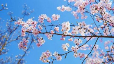 ​甜言蜜语的句子大全，短短的甜言蜜语的小句子