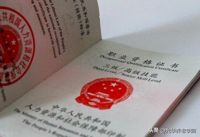 ​1.1.1 1+X证书制度与失智老年人照护员职业发展