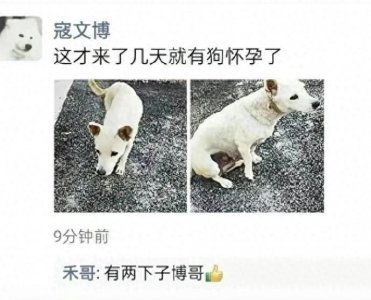 ​20张搞笑图片，总会有一张让你哈哈大笑，你看到第几张被逗笑了？