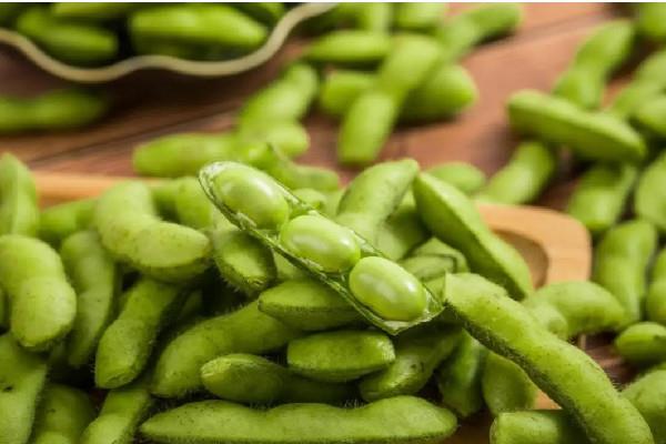 毛豆多少钱一斤 毛豆煮多长时间能熟 毛豆多少钱一斤 毛豆煮多长时间能熟