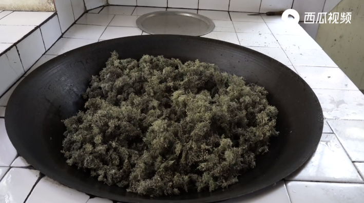 树花菜长什么样图片(长在树上的美食分享)