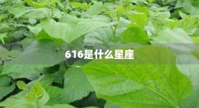 616是什么星座