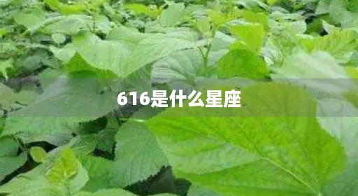 616是什么星座 616是什么星座