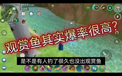 ​创造与魔法新型诱饵钓鱼概率