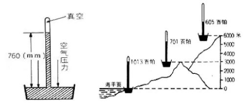 鸭屎香是什么茶（鸭屎香茶的有关信息介绍）