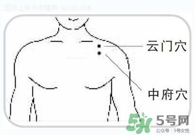 三伏灸可以自己灸吗?三伏灸可以在家做吗? 三伏灸可以自己灸吗?三伏灸可以在家做吗?
