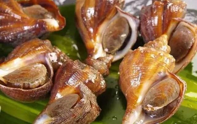 海螺哪个地方不能吃