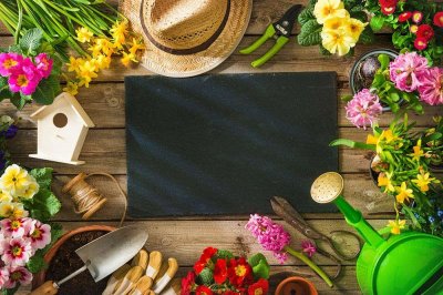 ​扦插老不生根？试试这6招，1盆变10盆， 家里多的放不下！