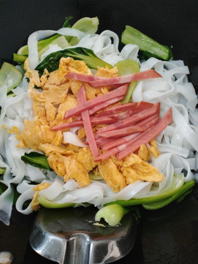 炒河粉的家常做法和配方窍门（营养丰富色泽诱人）(8)