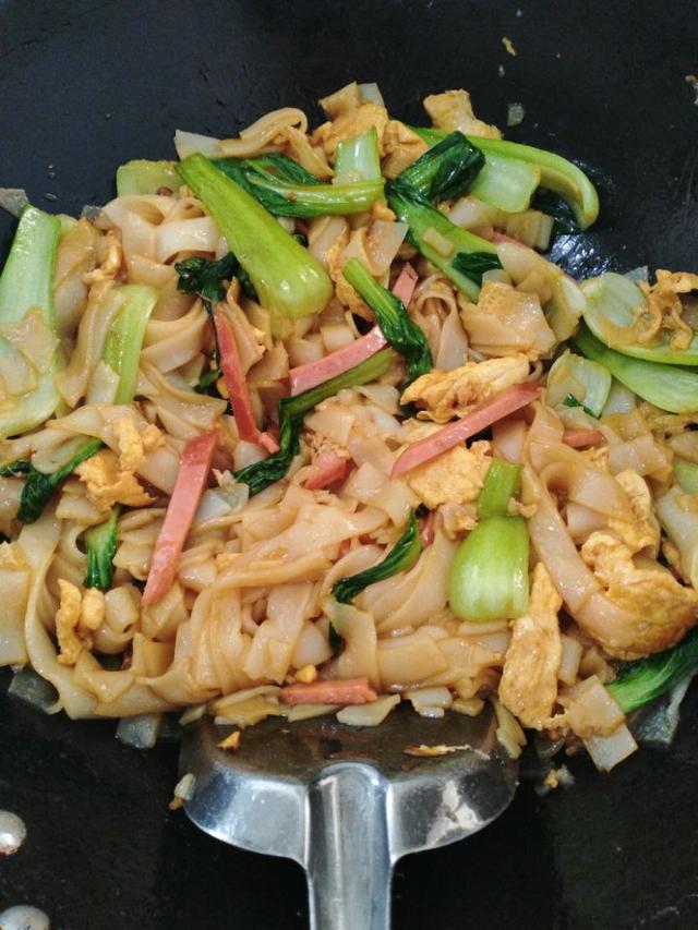 炒河粉的家常做法和配方窍门（营养丰富色泽诱人）(9)